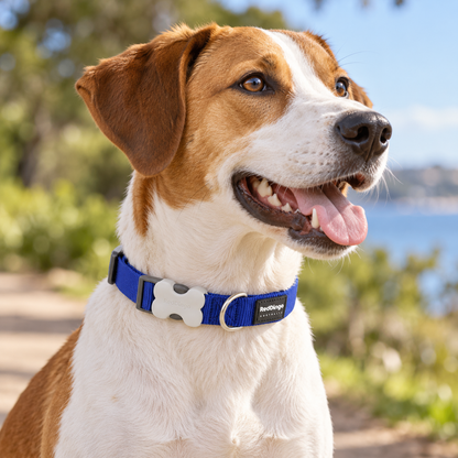 Collar ajustable de nailon para perros