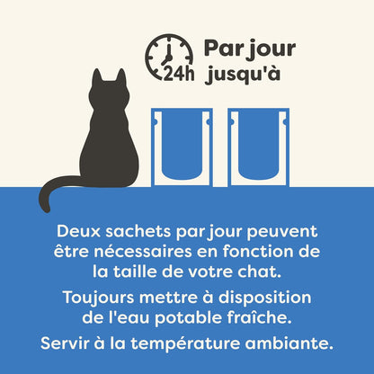 Filete de atum e camarão em caldo para gatos adultos