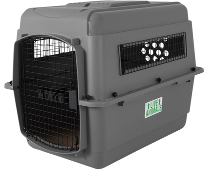 Sky Kennel IATA-approved transport crate