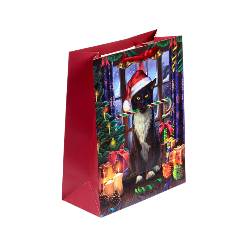 Grande sacco regalo di Natale a tema gatto con etichetta