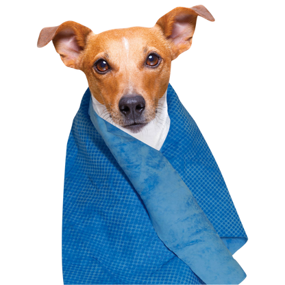 Kühlhandtuch für Hunde und Katzen