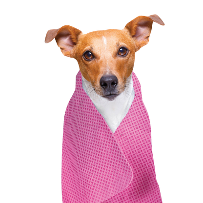 Kühlhandtuch für Hunde und Katzen