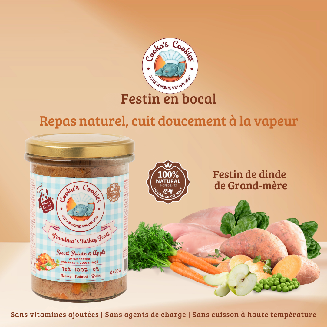 Repas cuisiné à la dinde et aux légumes pour chiens