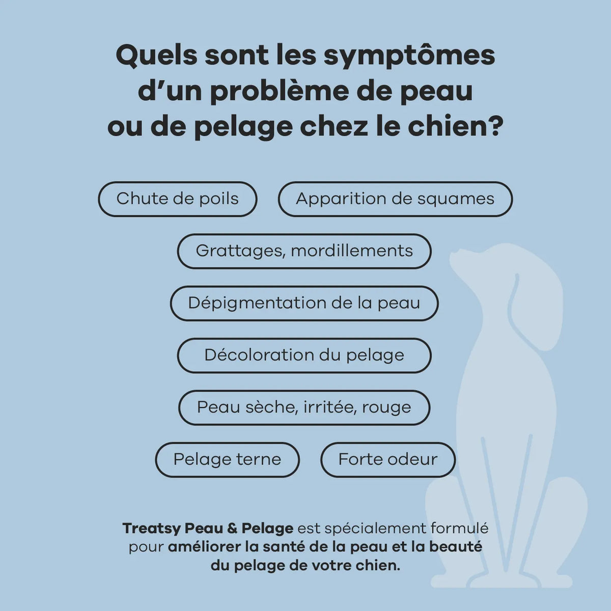 Complemento alimenticio para piel y pelaje con pollo para perros