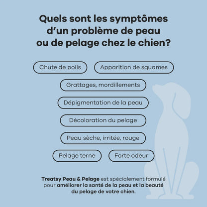 Complemento alimenticio para piel y pelaje con pollo para perros