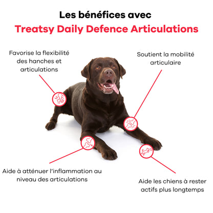 Complemento alimenticio para articulaciones de perros