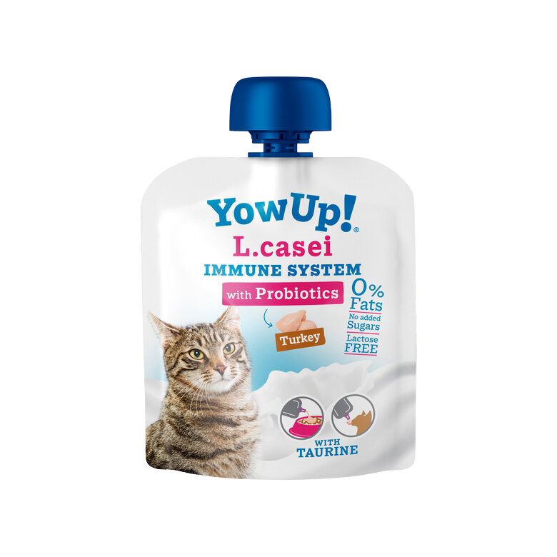 Laktosefreier Putenjoghurt mit L. casei für Katzen