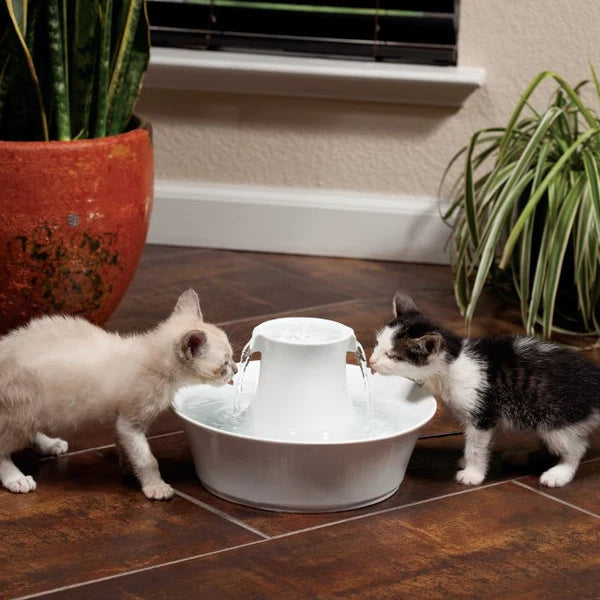 Drinkwell® Avalon Keramik-Trinkbrunnen 2 l für Hunde und Katzen