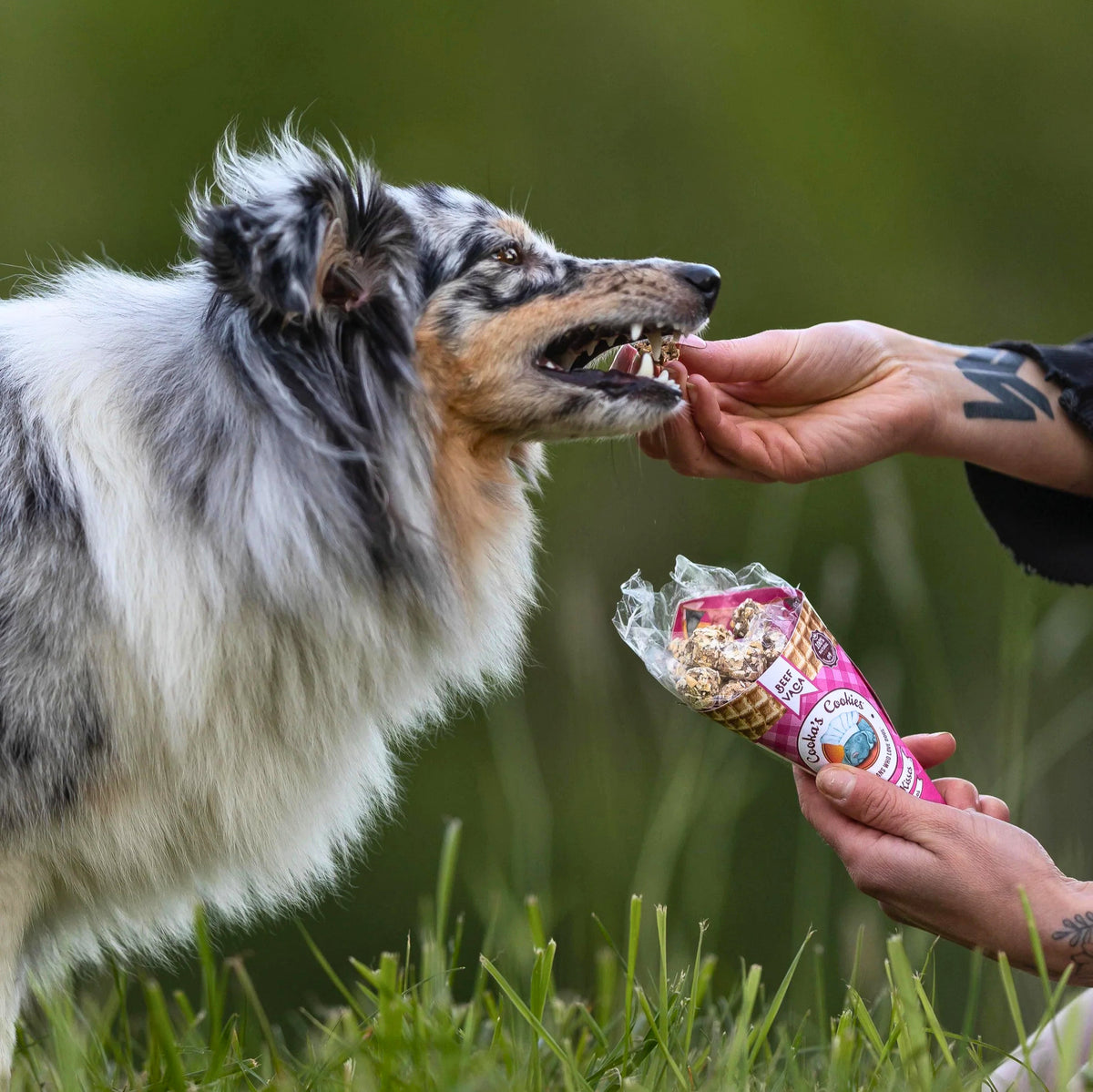 Cornet de friandises au bœuf pour chiens