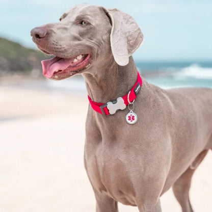 Collar ajustable de nailon para perros