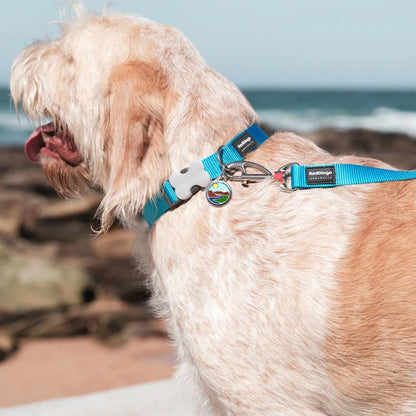 Collar ajustable de nailon para perros
