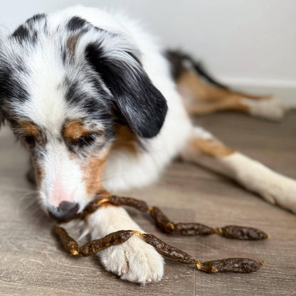 Salsicce di manzo essiccate per cani