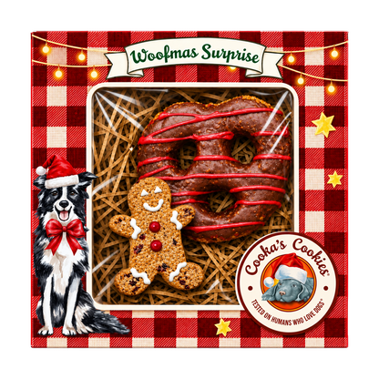Caixa de biscoitos de Natal para cães com peru