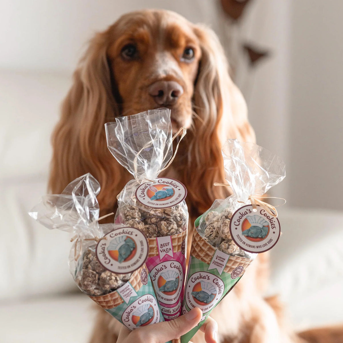 Cono de premios de cerdo y sardina para perros
