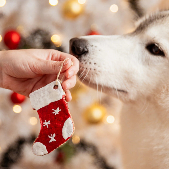 Coffret de 2 friandises de Noël à suspendre pour chiens