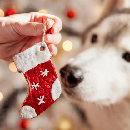 Coffret de 2 friandises de Noël à suspendre pour chiens