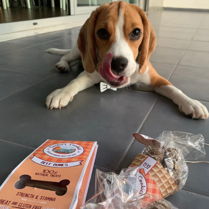 Cono de golosinas de pavo para perros