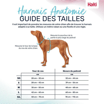 Arnés anatómico ajustable para perros