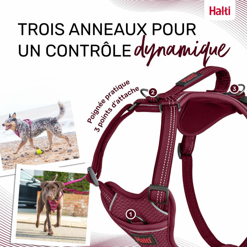 Arnés anatómico ajustable para perros