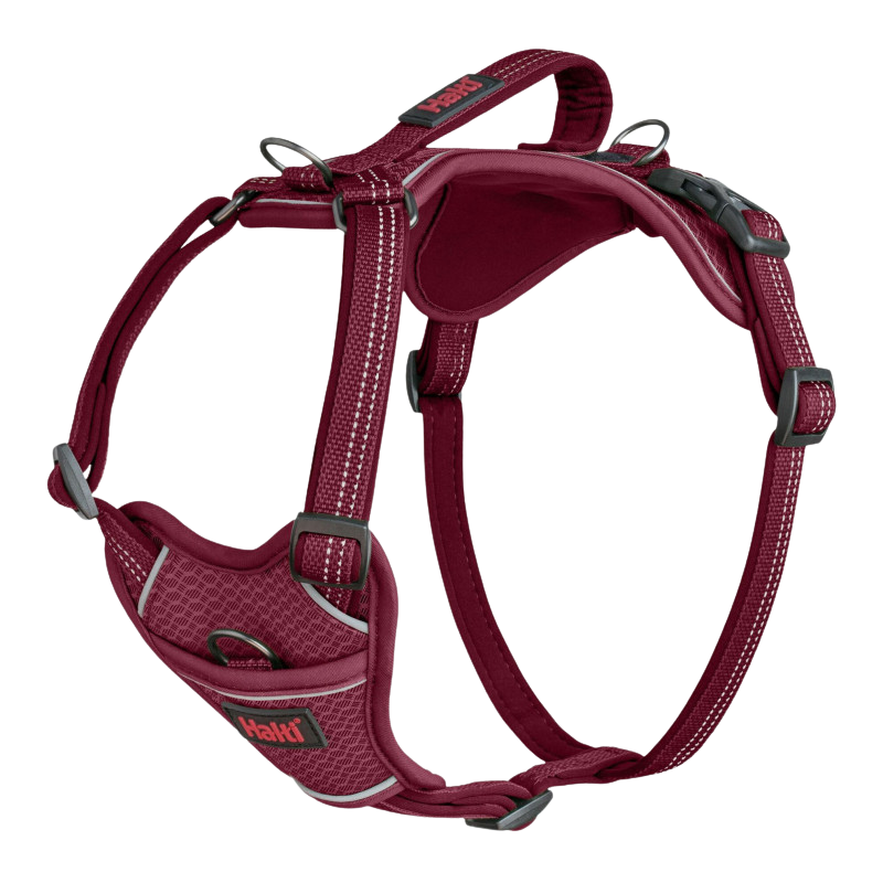 Adjustable anatomical dog harness