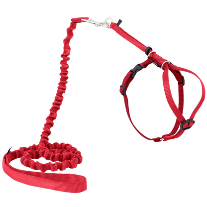 Imbracatura e guinzaglio Easy Walk® per gatti