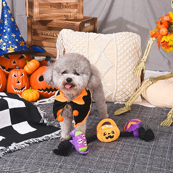 Howloween Candy Ziehspielzeug für Hunde