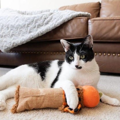 Halloween-Vogelscheuchen-Spielzeug mit Katzenminze für Katzen