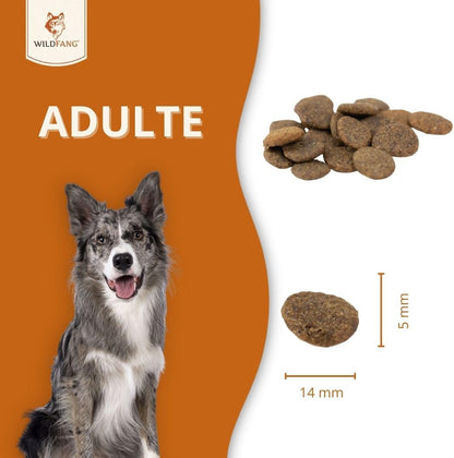 Crocchette al manzo Angus per cani adulti