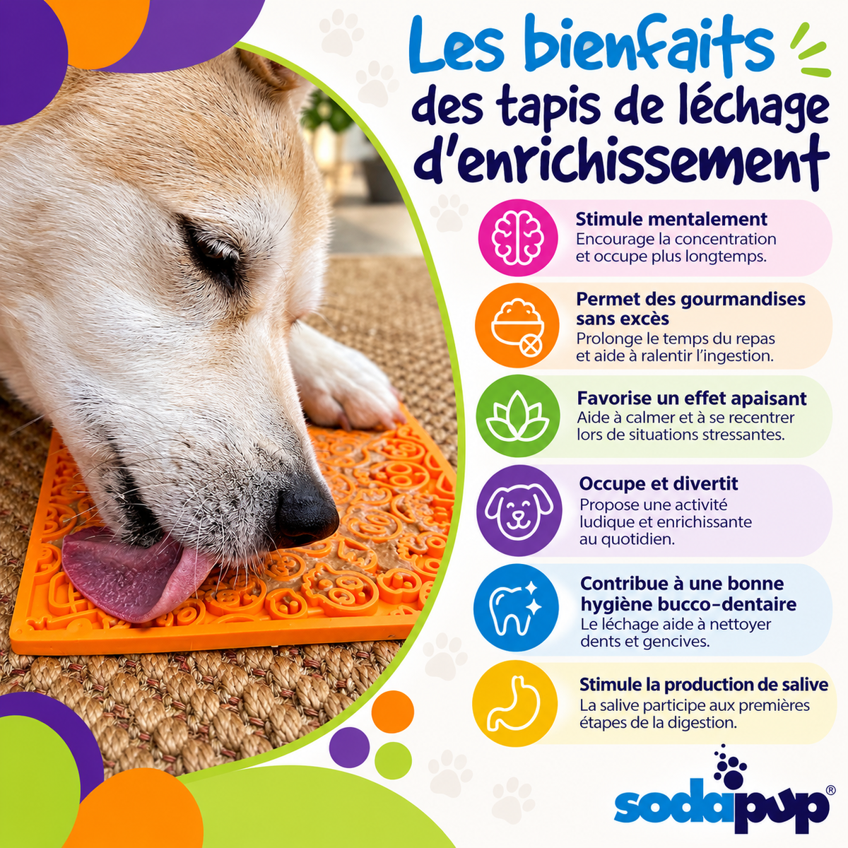 Zombie lick mat for dogs and cats