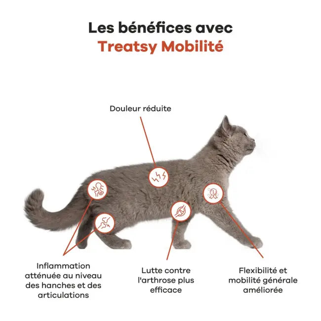 Huile nutritionnelle hanches et articulations des chiens et chats